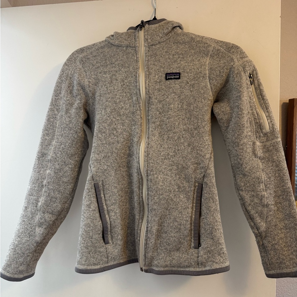 Patagonia Gray Fleece Jacket